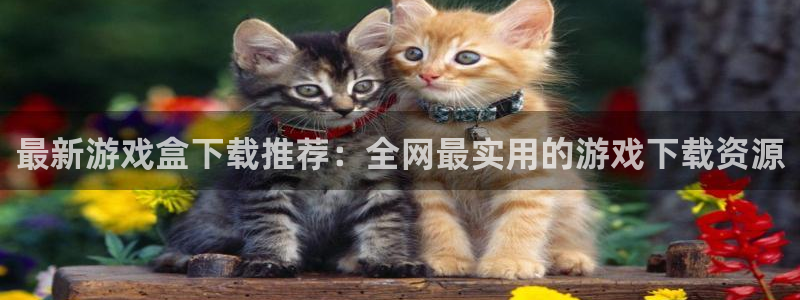 沐鸣2注册登录：最新游戏盒下载推荐：全网最实用的游戏下载资源