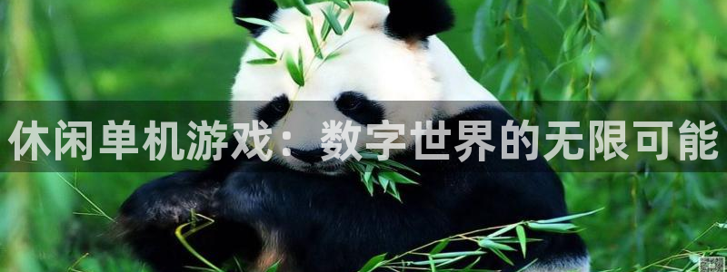 沐鸣2注册登录服务中心：休闲单机游戏：数字世界的无限可能