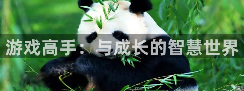 沐鸣2河内一分彩正规吗：游戏高手：与成长的智慧世界