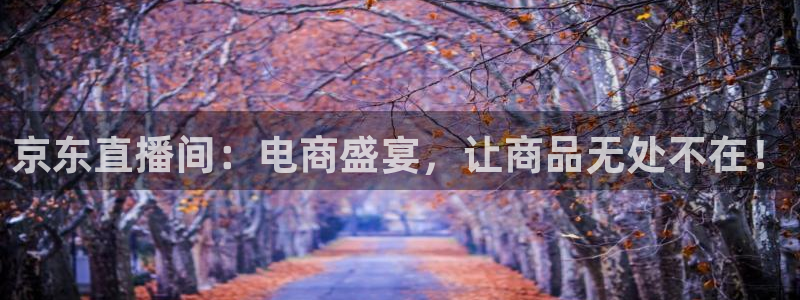 山猫体育免费直播篮球