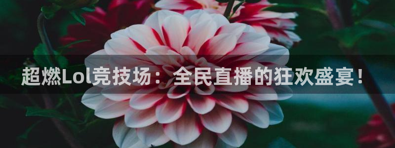 山猫体育nba直播吧：超燃Lol竞技场：全民直播的狂欢盛宴！