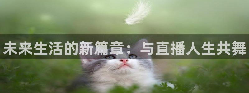 足球直播山猫高清直播：未来生活的新篇章：与直播人生共舞