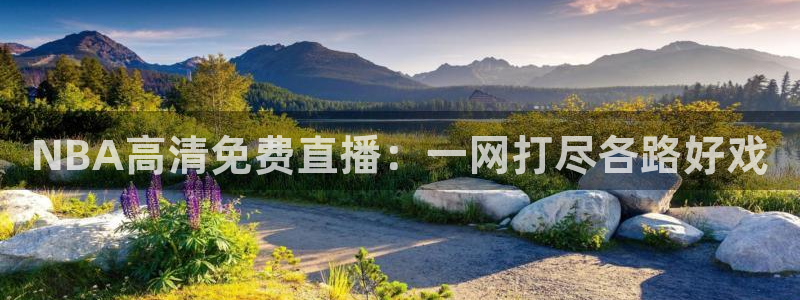 山猫体育直播免费直播nba：NBA高清免费直播：一网打尽各路好戏