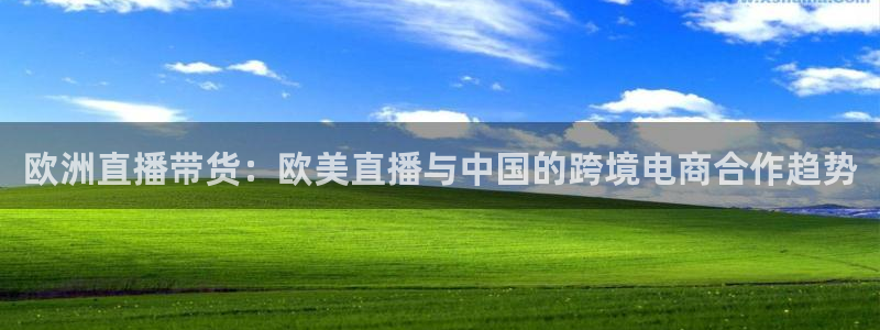 山猫直播免费篮球：欧洲直播带货：欧美直播与中国的跨境电商合作趋势