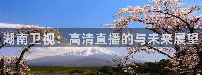 山猫体育直播在线观看免费：湖南卫视：高清直播的与未来展望