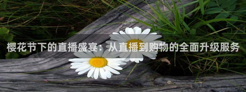 cba直播山猫体育：樱花节下的直播盛宴：从直播到购物的全面升级服务