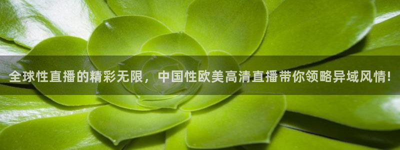 山猫足球免费直播在线观看：全球性直播的精彩无限，中国性欧美高清直播带你领略异域风情!