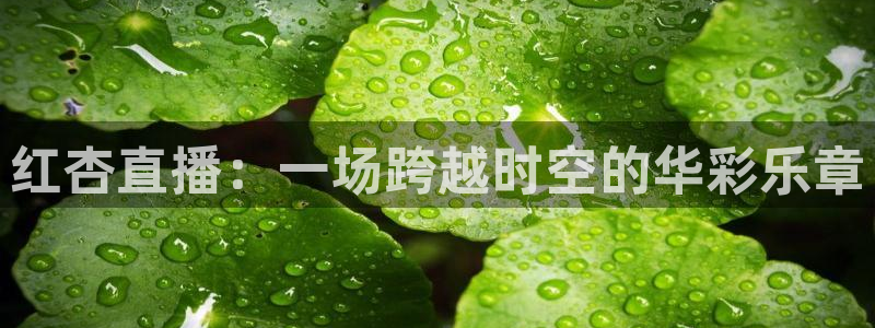 山猫体育赛事直播官网：红杏直播：一场跨越时空的华彩乐章