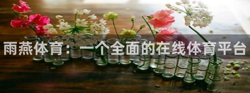 山猫直播山猫体育：雨燕体育：一个全面的在线体育平台