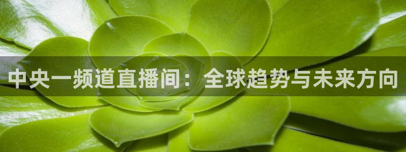 山猫直播足球免费观看：中央一频道直播间：全球趋势与未来方向